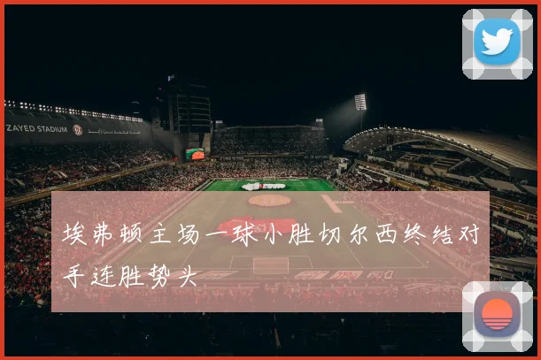 埃弗顿主场一球小胜切尔西终结对手连胜势头