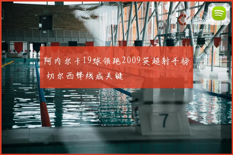阿内尔卡19球领跑2009英超射手榜 切尔西锋线成关键