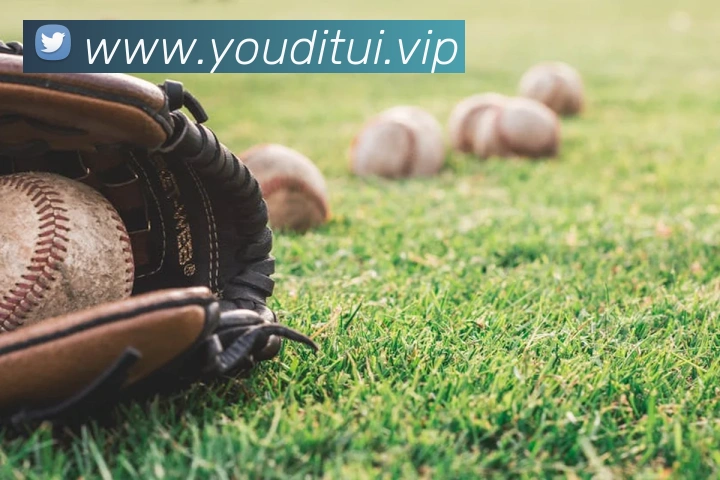 新半岛官网APP 高清赛事图